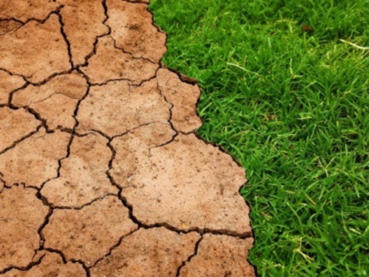 Światowy Dzień Ziemi. Każdy z nas może zadbać o środowisko naturalne